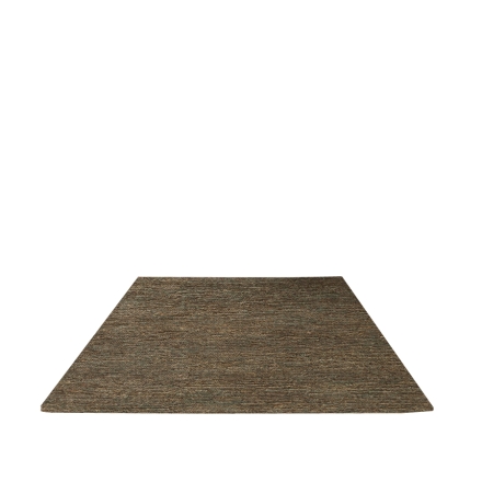 Goa - still life image 