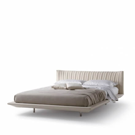 Shellon - still life image 